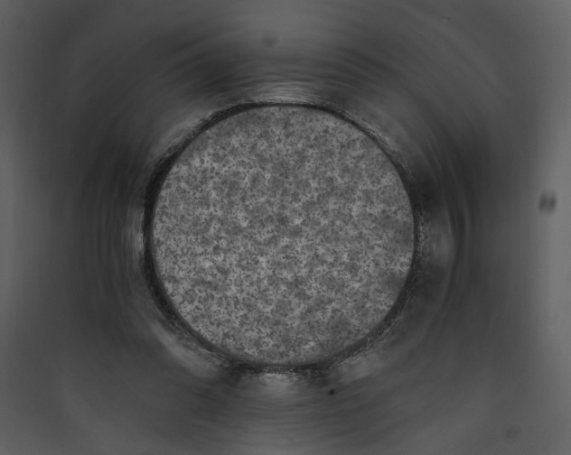 X0000089920302200707131416