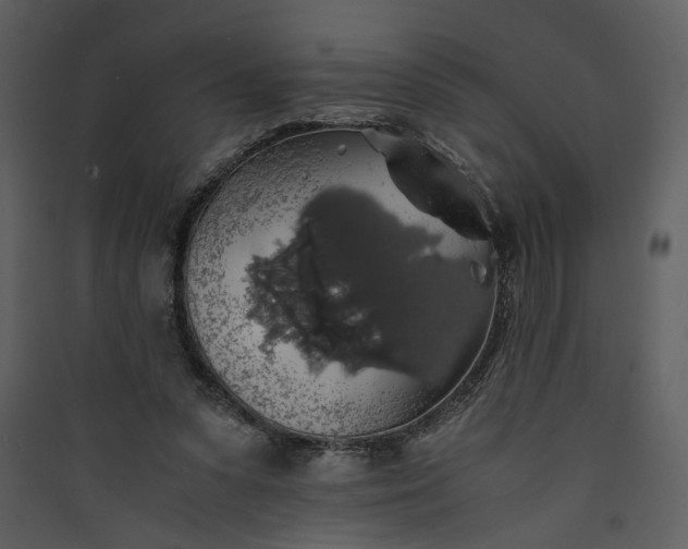 X0000089920303200707131416