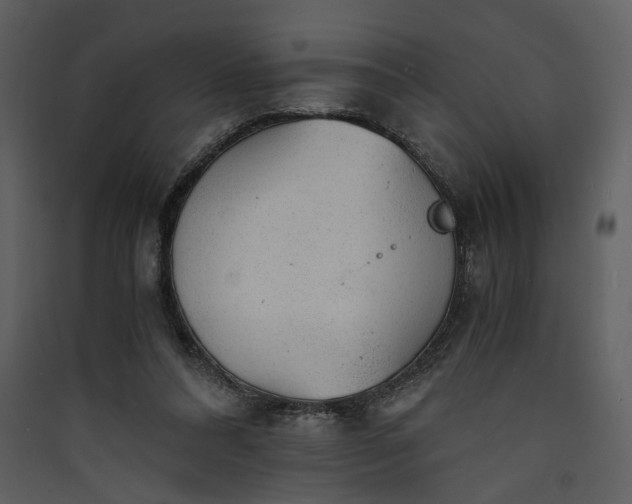 X0000089920304200707131416