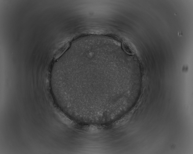X0000089920305200707131416