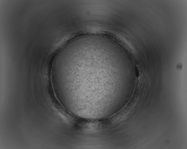 X0000089920306200707131416