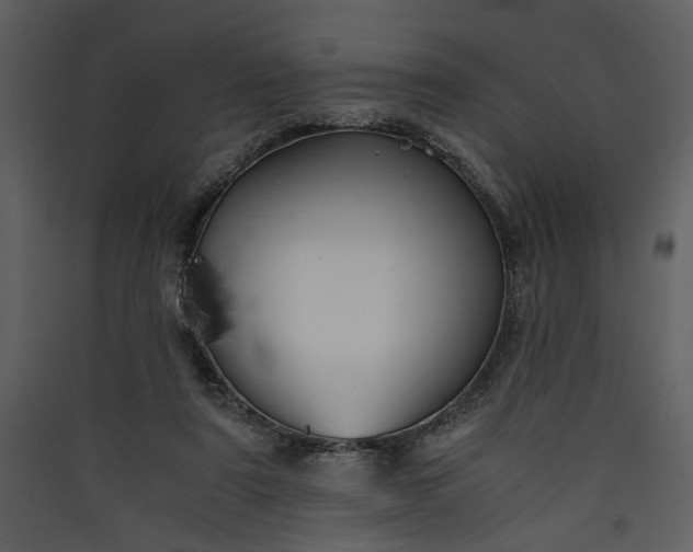 X0000089920307200707131416