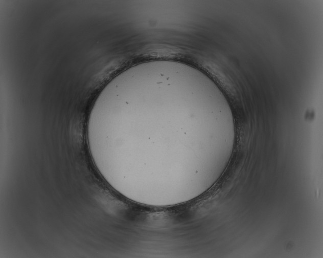 X0000089920309200707131416