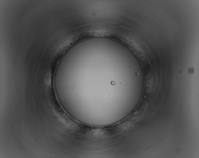 X0000089920310200707131416