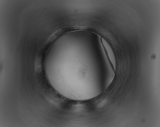 X0000089920312200707131416