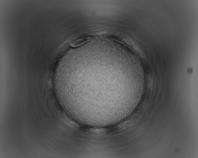 X0000089920313200707131416