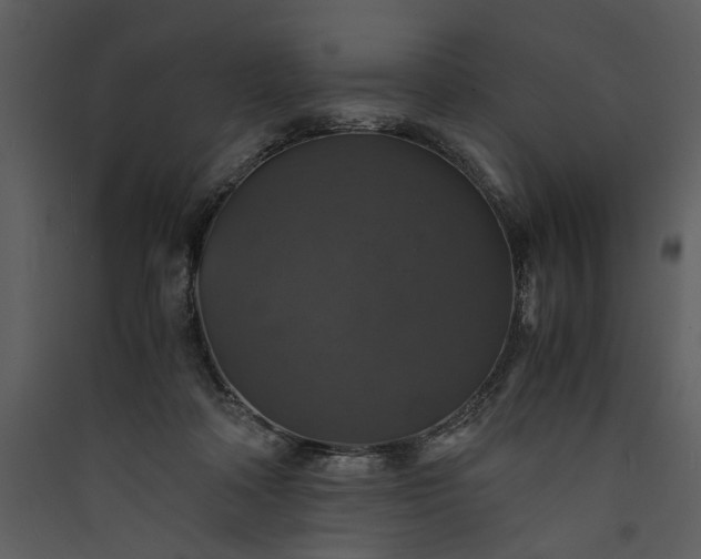 X0000089920314200707131416
