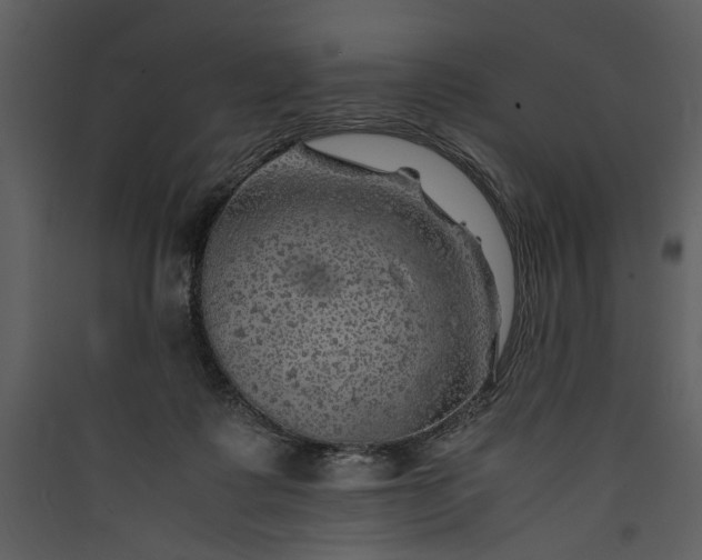 X0000089920315200707131416