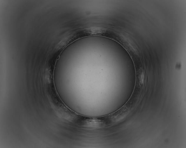 X0000089920316200707131416