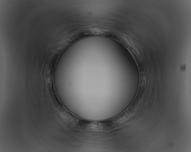 X0000089920317200707131416