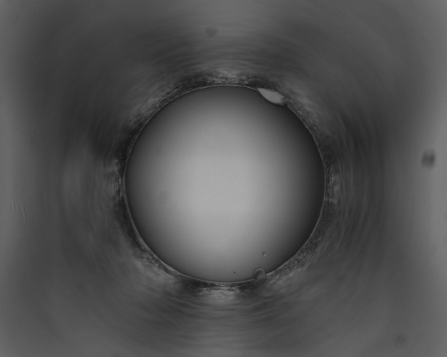 X0000089920318200707131416