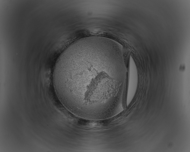 X0000089920319200707131416