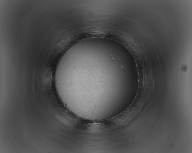 X0000089920320200707131416