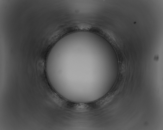 X0000089920321200707131416