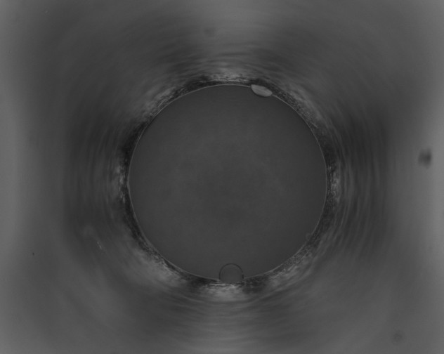 X0000089920322200707131416