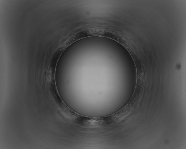 X0000089920323200707131416