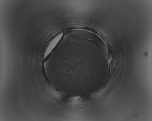 X0000089920325200707131416