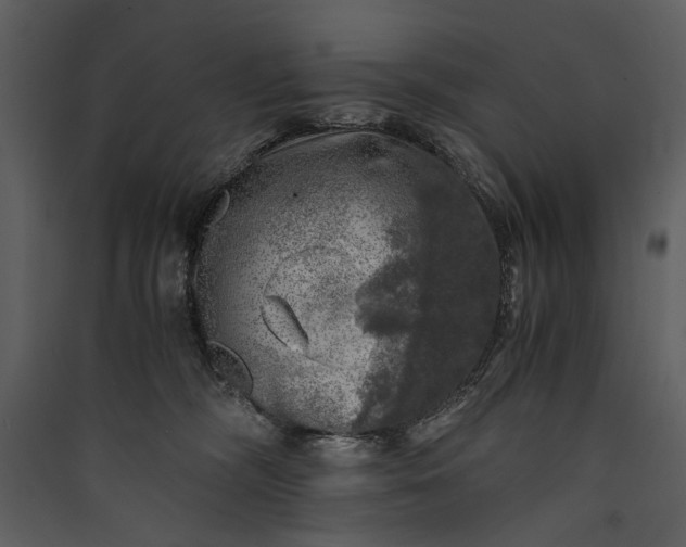 X0000089920326200707131416