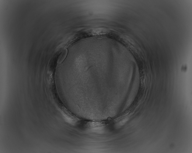 X0000089920327200707131416