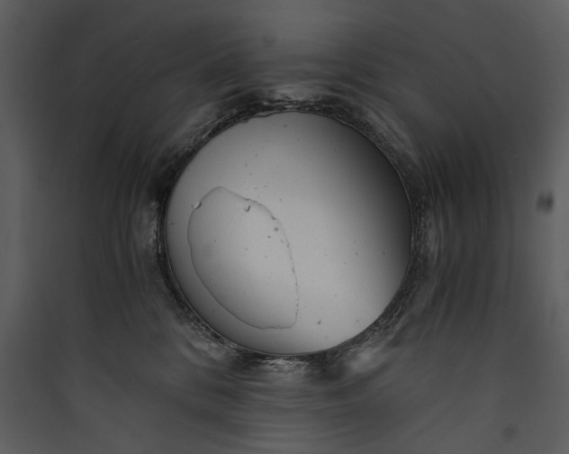 X0000089920328200707131416