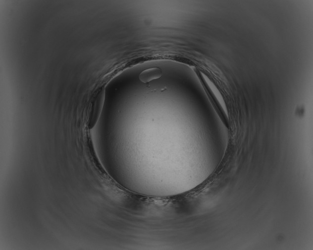 X0000089920329200707131416