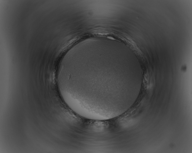 X0000089920330200707131416