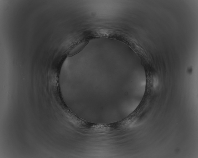 X0000089920331200707131416