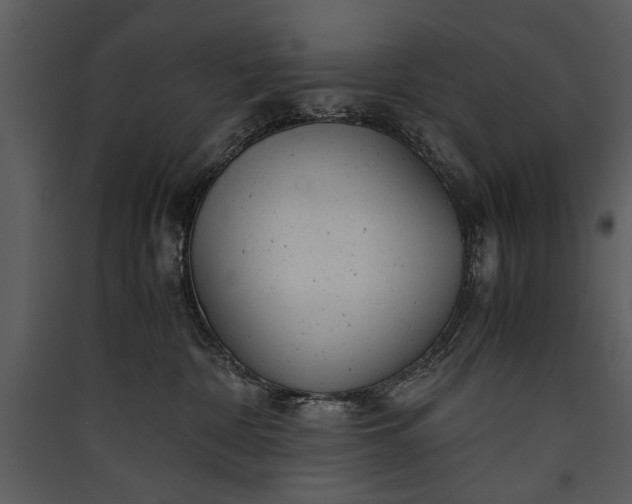 X0000089920332200707131416