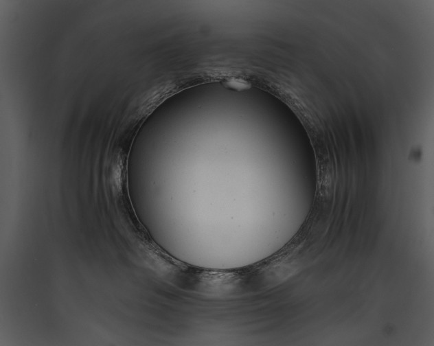 X0000089920334200707131416