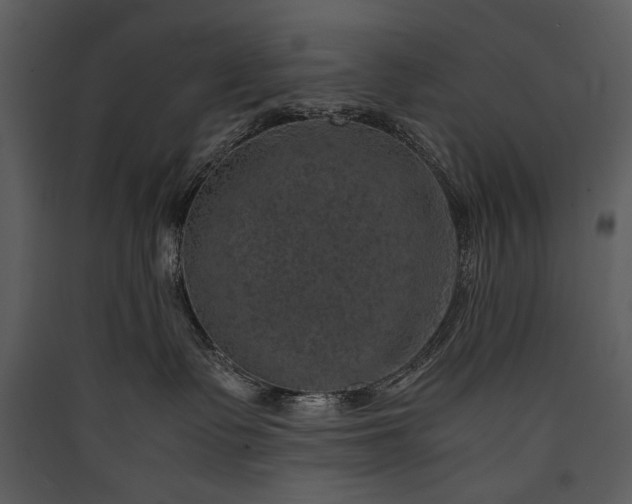X0000089920335200707131416
