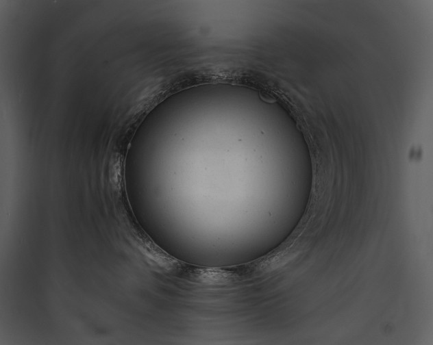 X0000089920336200707131416