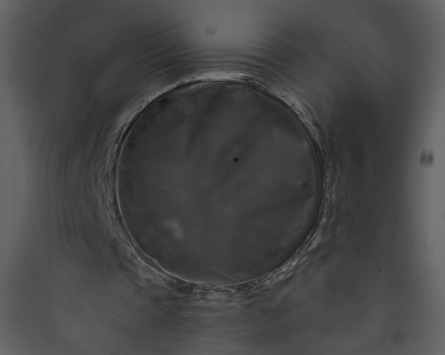 X0000089920337200707131415