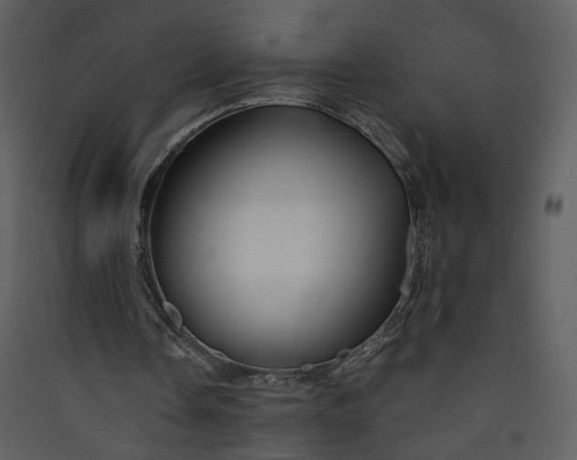 X0000089920338200707131415