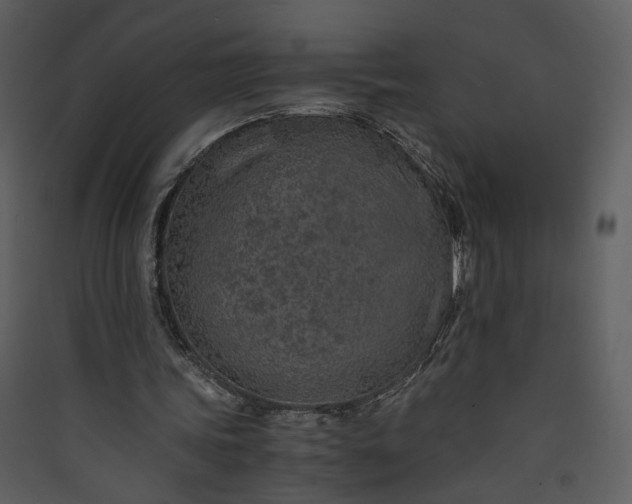 X0000089920339200707131415