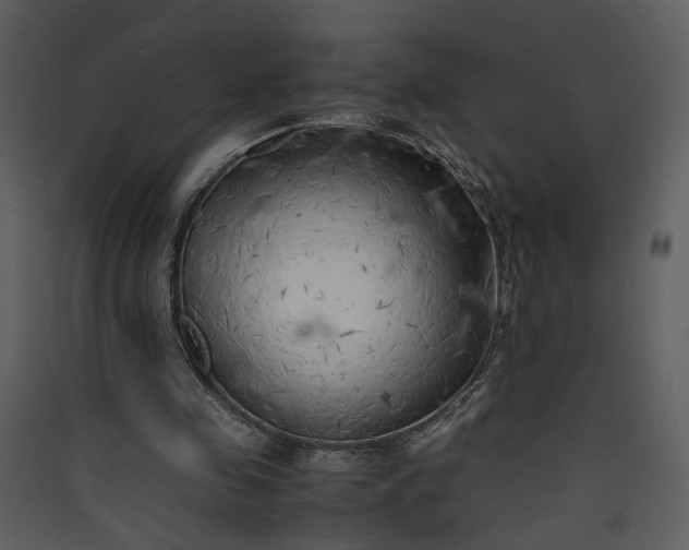 X0000089920341200707131415