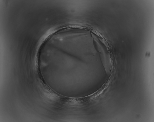 X0000089920343200707131415