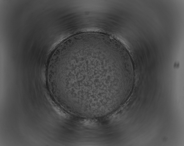 X0000089920345200707131415