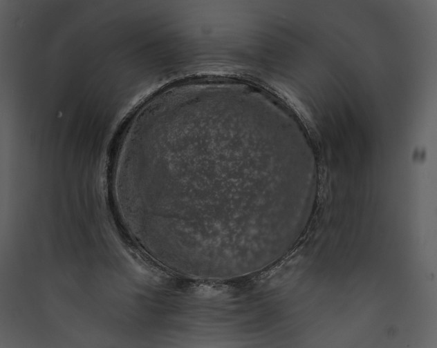 X0000089920346200707131415