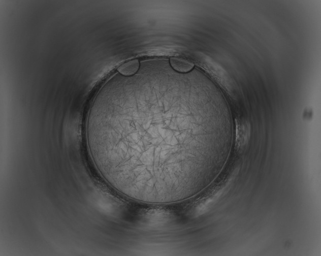 X0000089920348200707131415