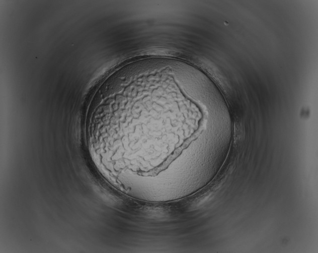 X0000089920349200707131415
