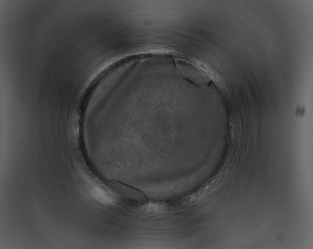X0000089920350200707131415