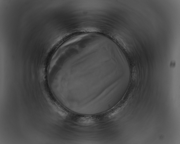 X0000089920351200707131415