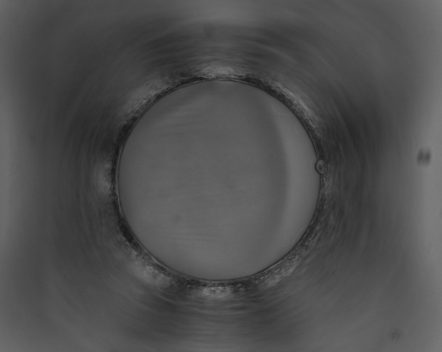 X0000089920353200707131415