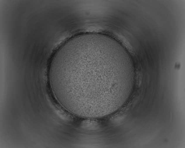 X0000089920354200707131415