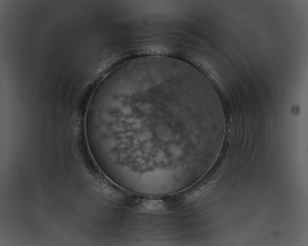 X0000089920355200707131415