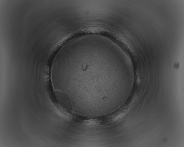 X0000089920356200707131415