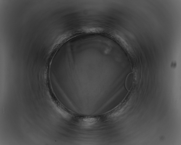 X0000089920357200707131415
