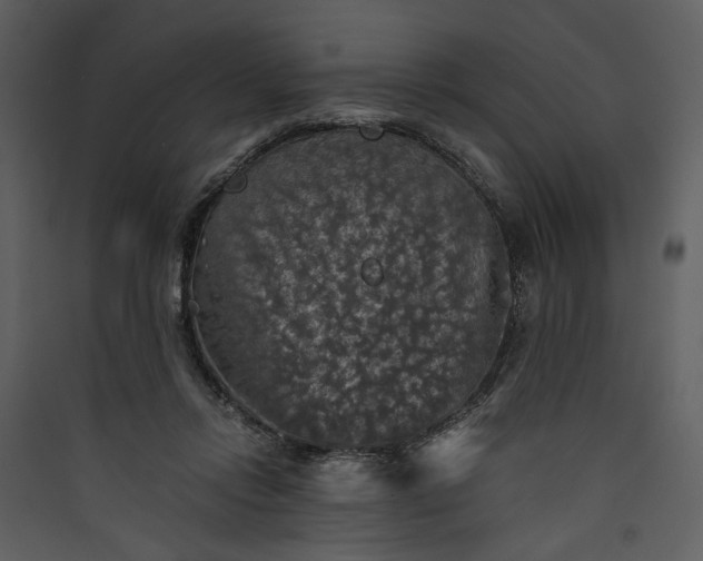 X0000089920358200707131415