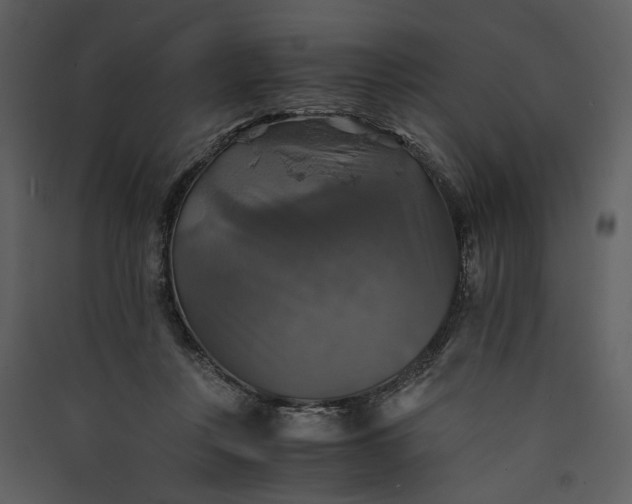 X0000089920359200707131415