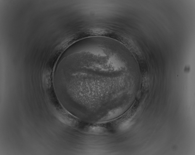 X0000089920360200707131416